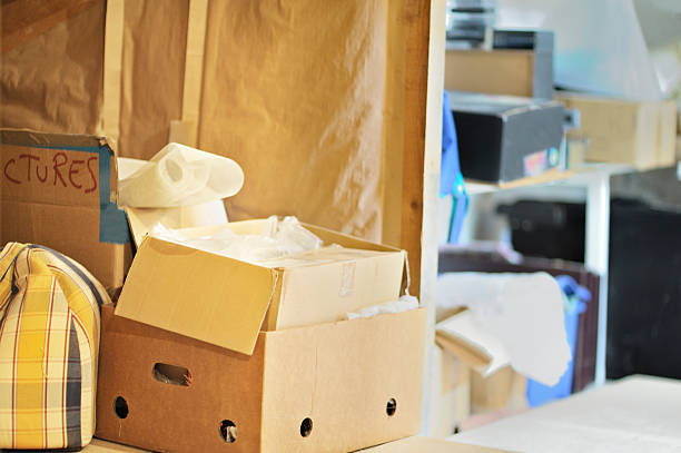 Best Office Junk Removal  in Daisetta, TX